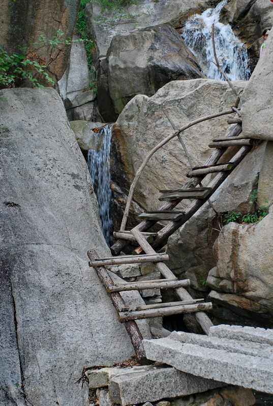 dsc_7942.jpg