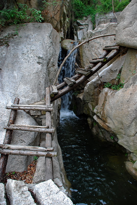 dsc_7943.jpg