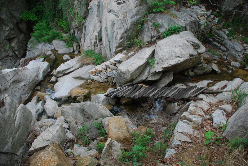 dsc_7953.jpg