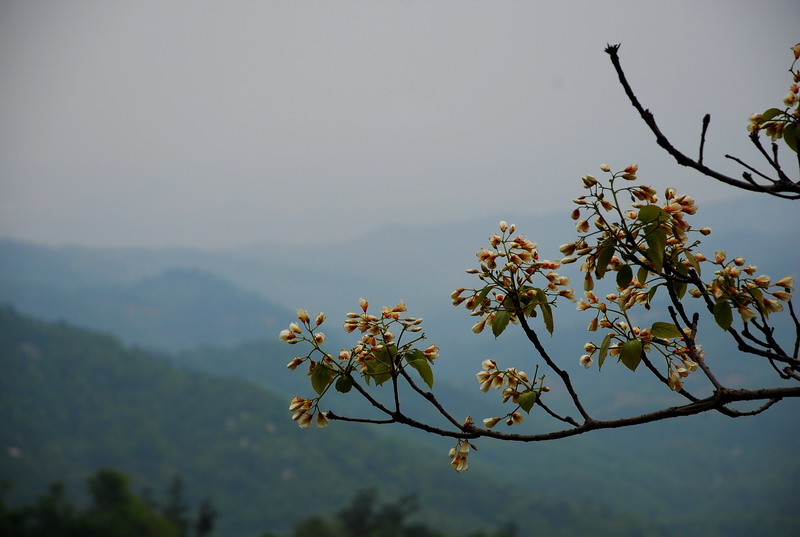 dsc_7970.jpg