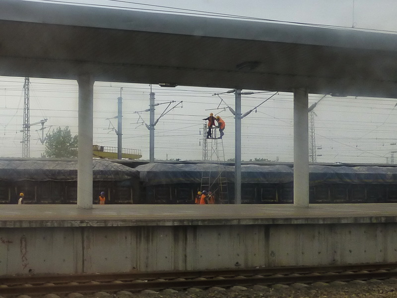 p1060339.jpg