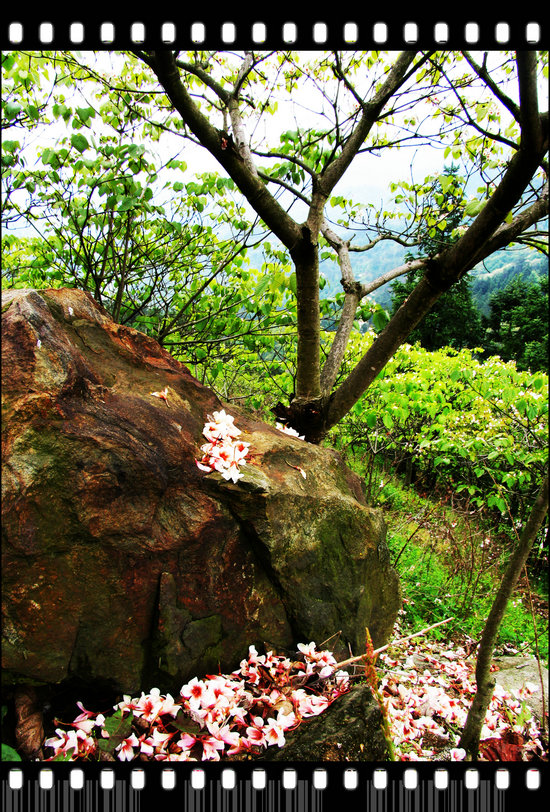 Ƭ 058.jpg