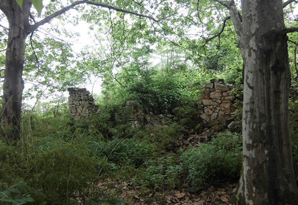 cimg1154__.jpg