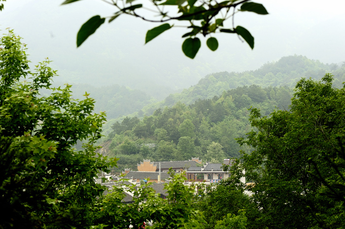 _dsc8715.jpg