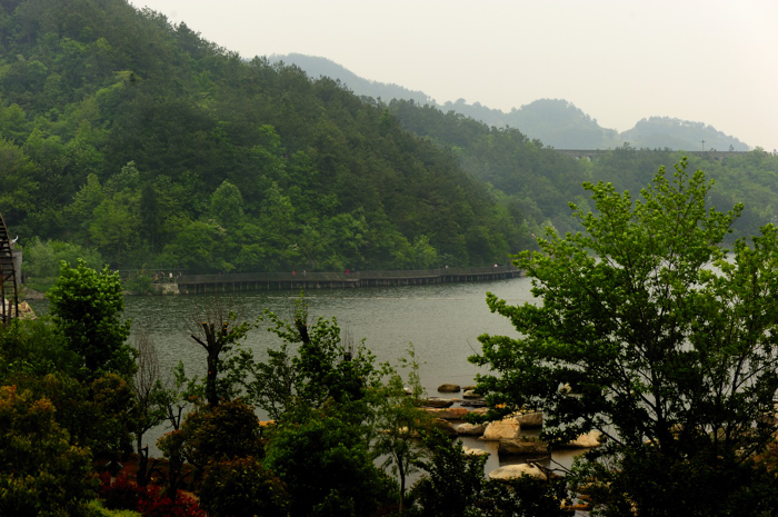 _dsc8743.jpg