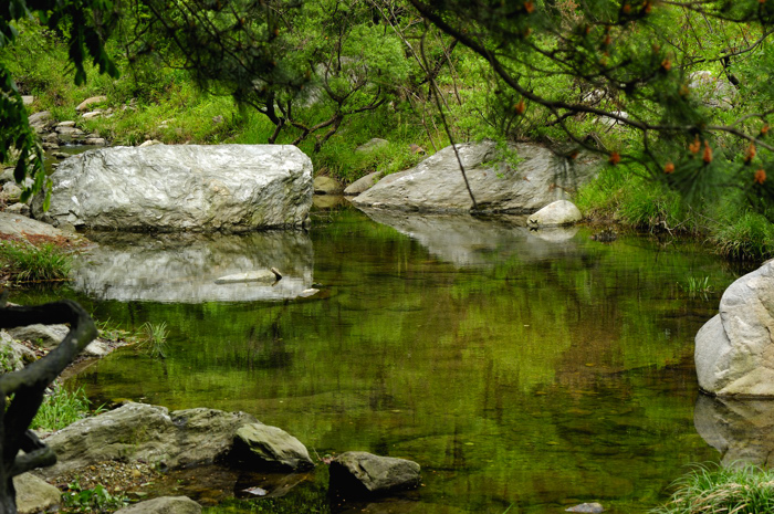 _dsc8769.jpg
