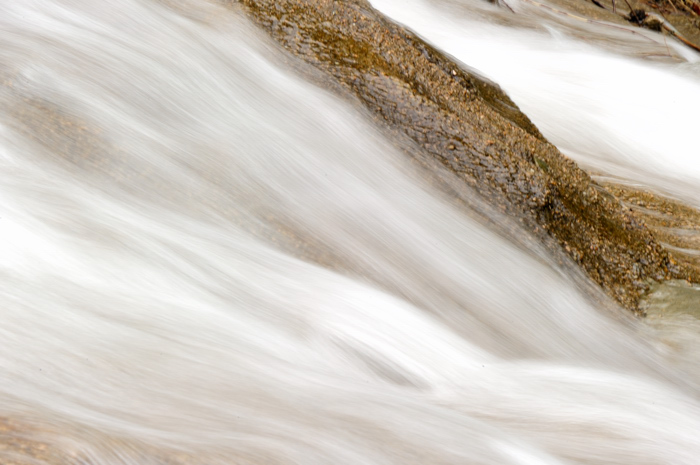 _dsc8855.jpg