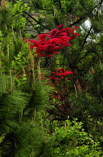 _dsc8926.jpg
