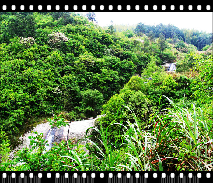 Ƭ 090.jpg