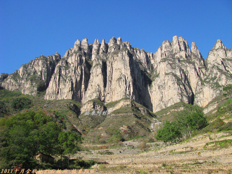 201110ʯ幵Ҷ 028.jpg