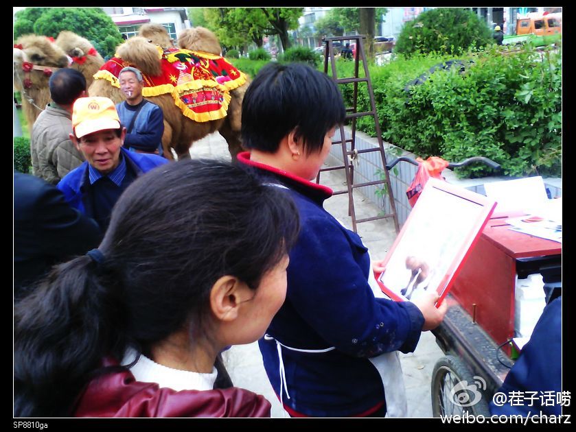 真想和骆驼合影一张.jpg