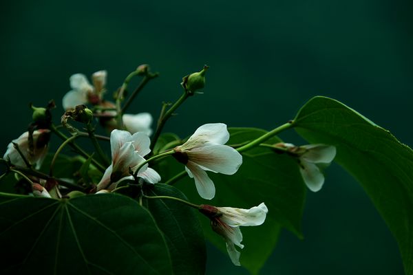 img_7666.jpg