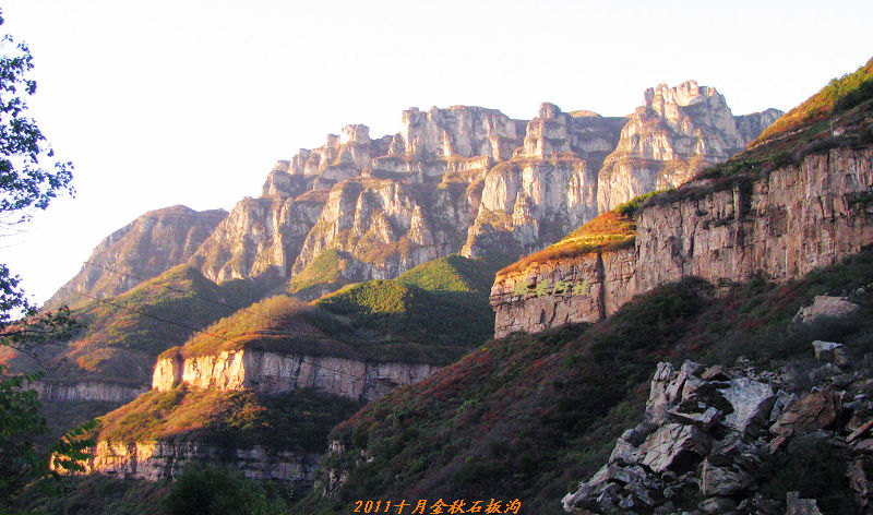 201110ʯ幵Ҷ 563-1.jpg