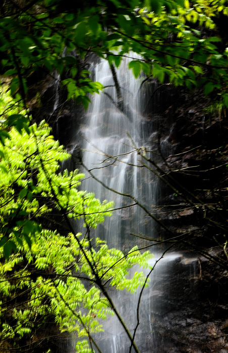 _dsc8794.jpg