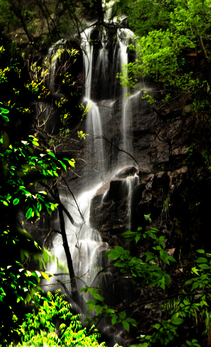_dsc8801.jpg