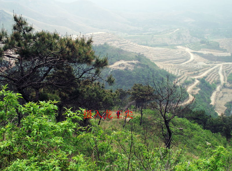 dscf8003.jpg