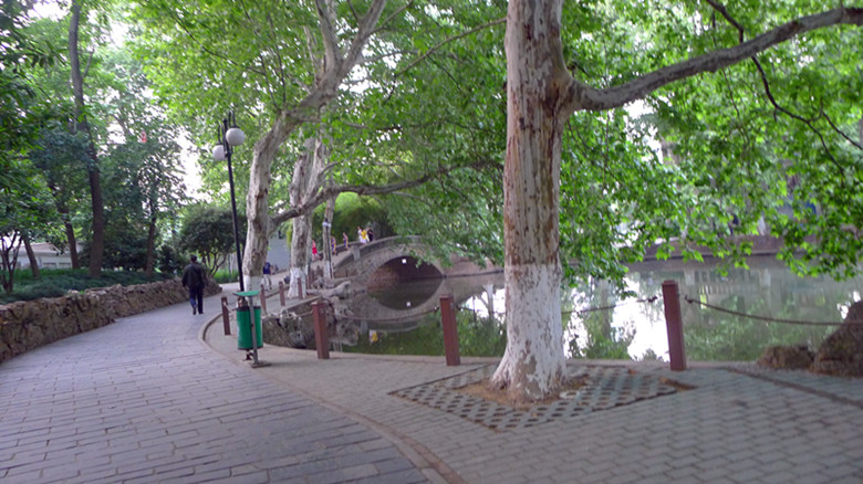 p1030941_.jpg