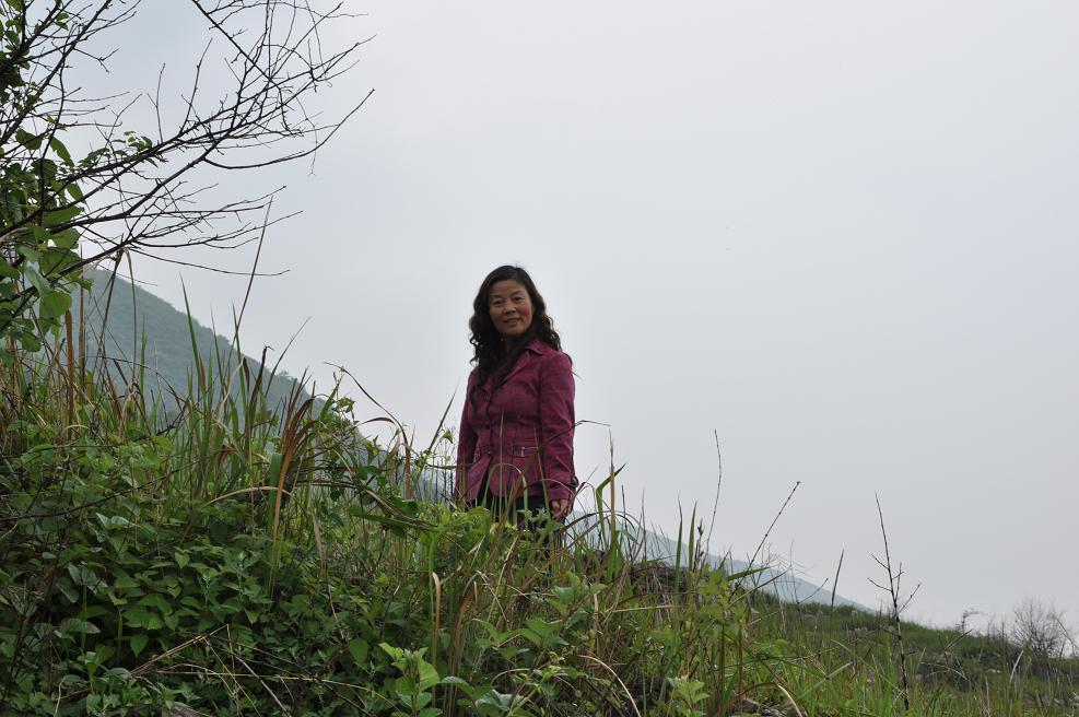 dsc_0452.jpg