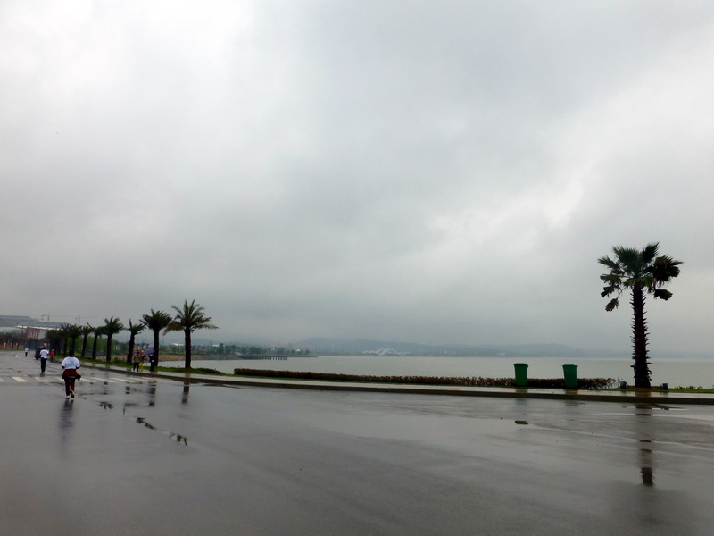 p1060505.jpg