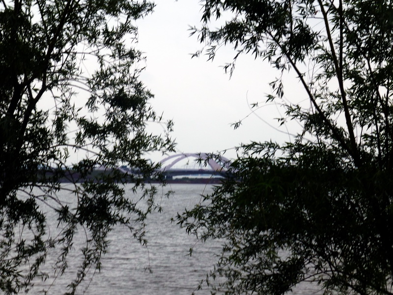 p1060518.jpg