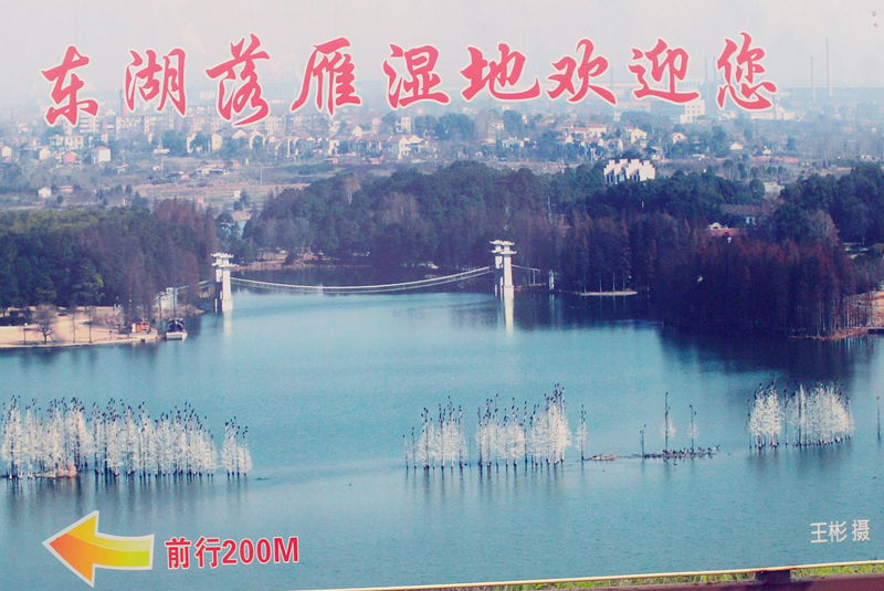 file1115.jpg