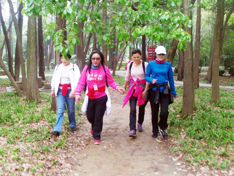 file1126.jpg