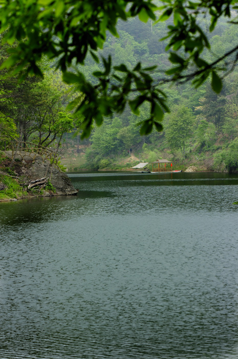 _dsc8881.jpg