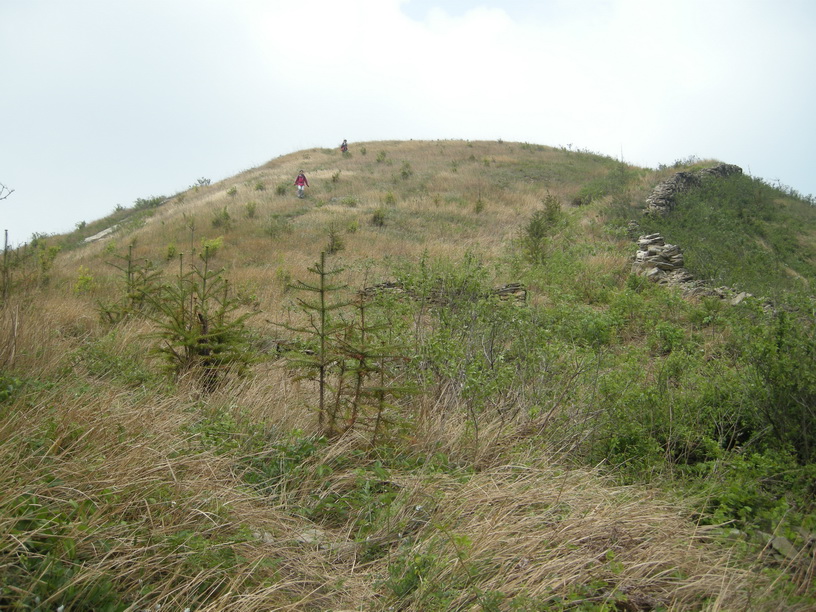 dscn8337.jpg