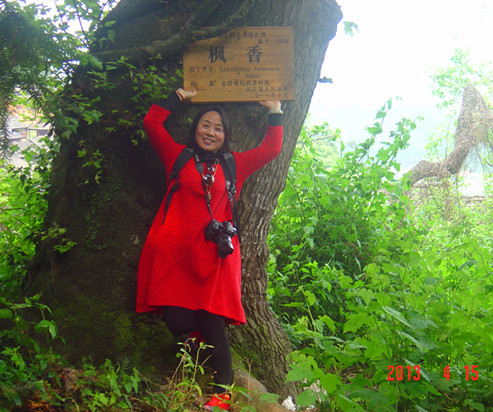 dsc02338_.jpg