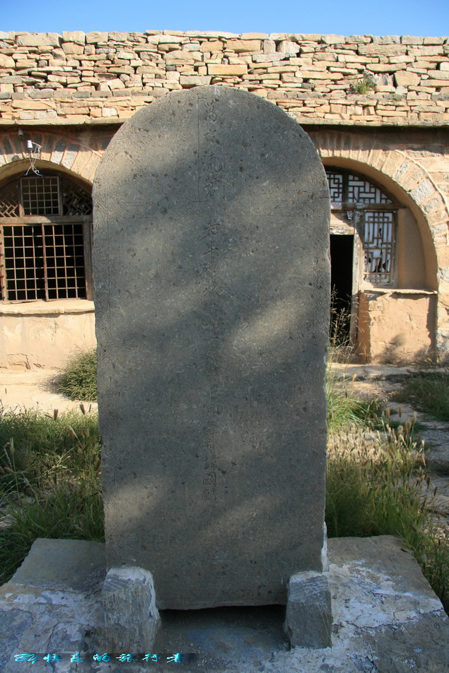 376.jpg