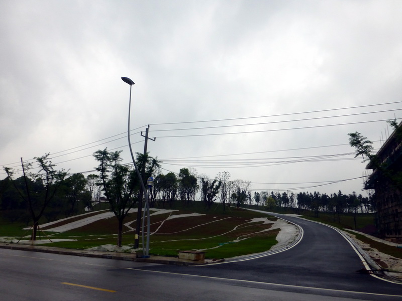 p1060519.jpg