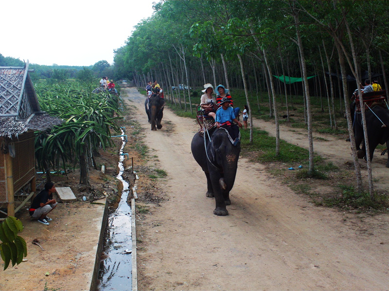 file0160_.jpg