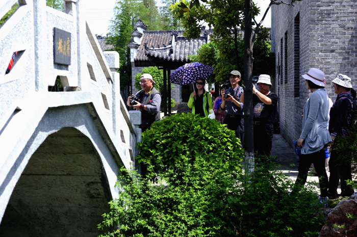 _dsc9009.jpg