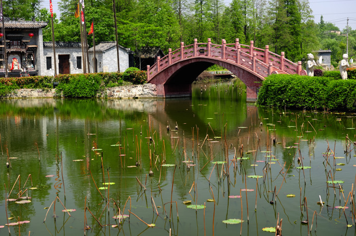 _dsc9005.jpg