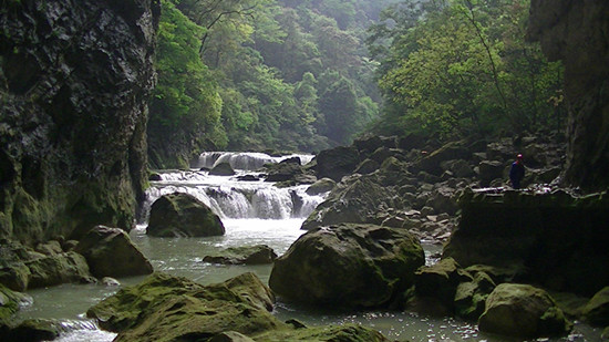 pic_0875_.jpg