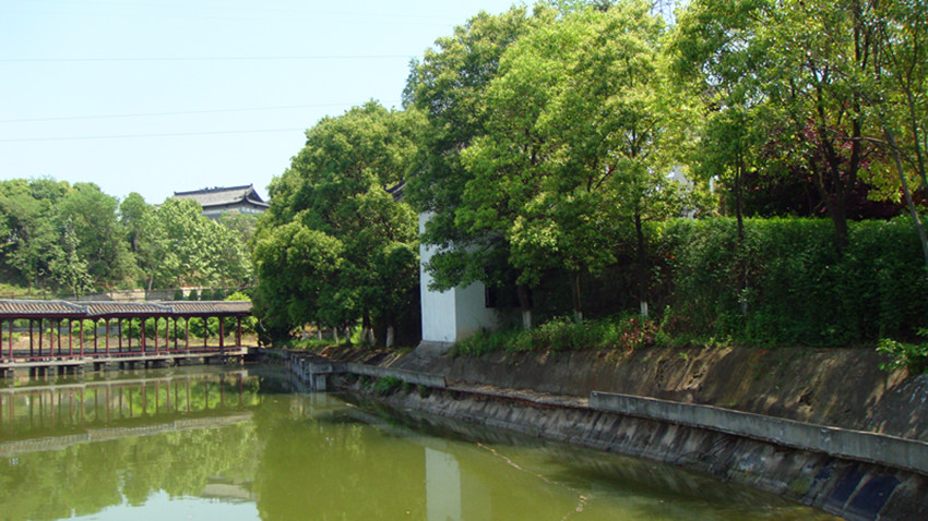dsc09796_.jpg