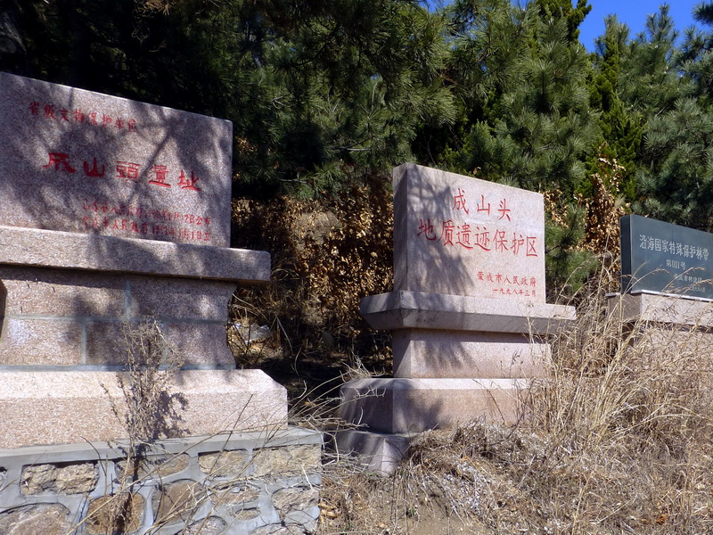 p1040869.jpg