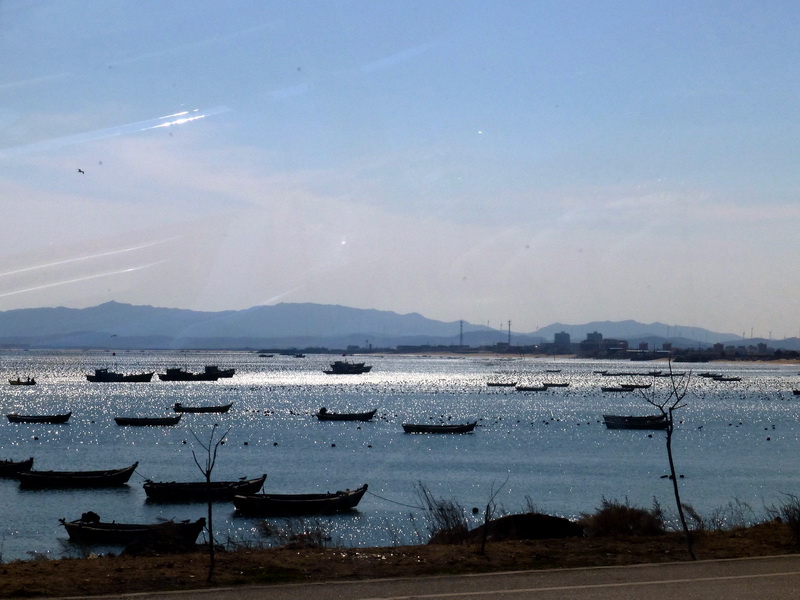 p1040877.jpg