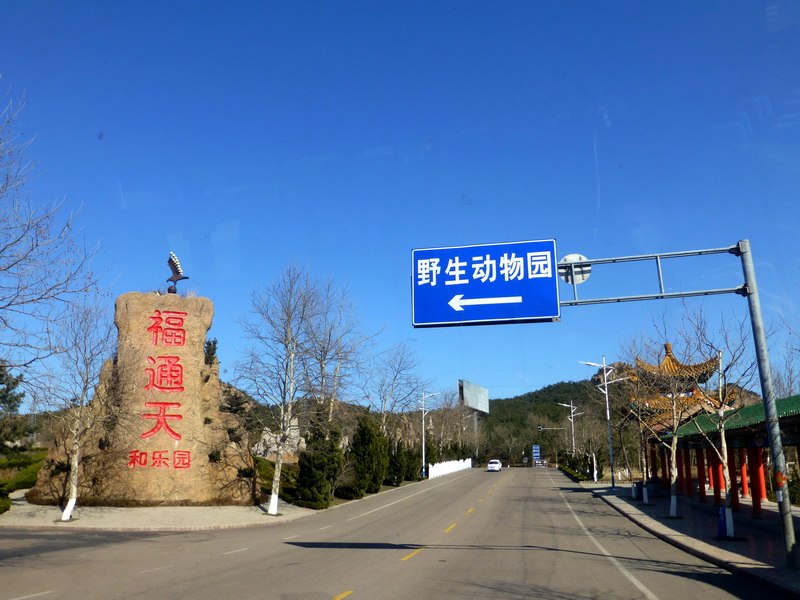 p1040889.jpg
