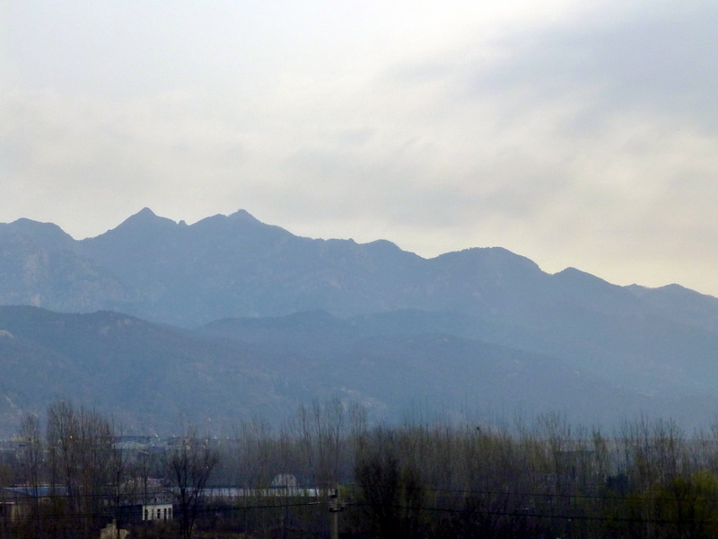 p1040939.jpg