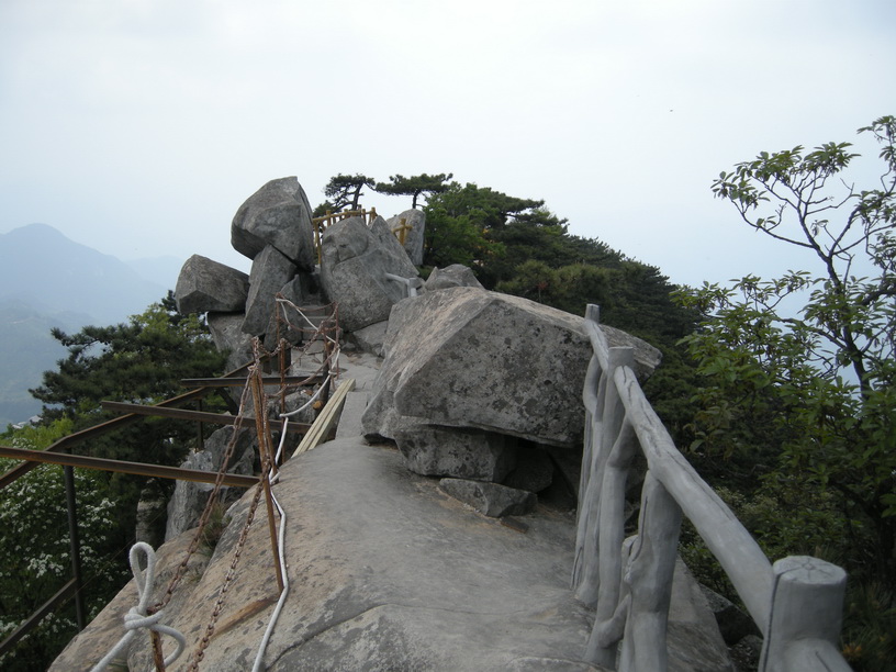 dscn8504.jpg