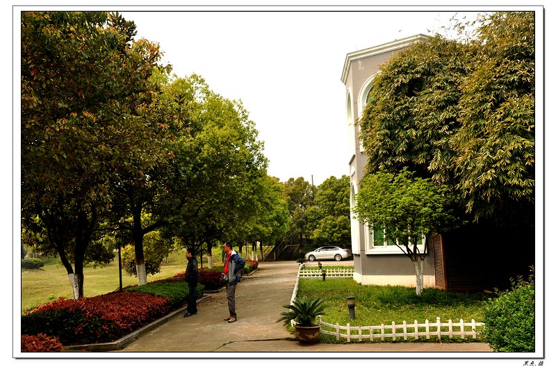 ȼٴ (2).jpg