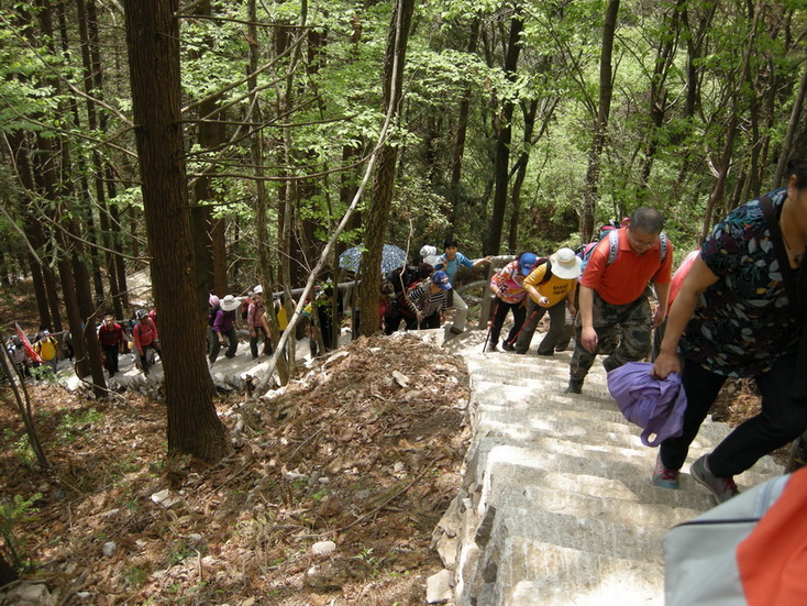 dscn8462.jpg
