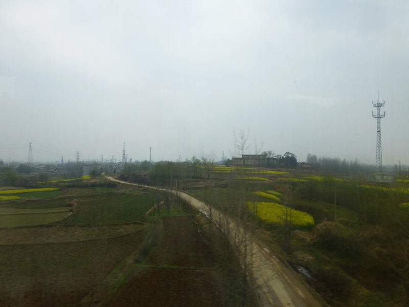 p1050043.jpg