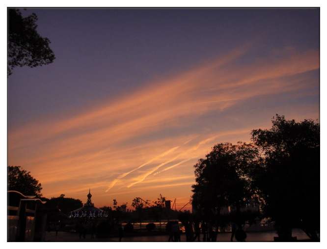 dsc09781_.jpg