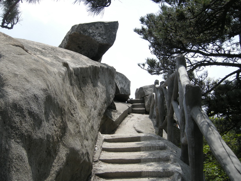 dscn8557.jpg