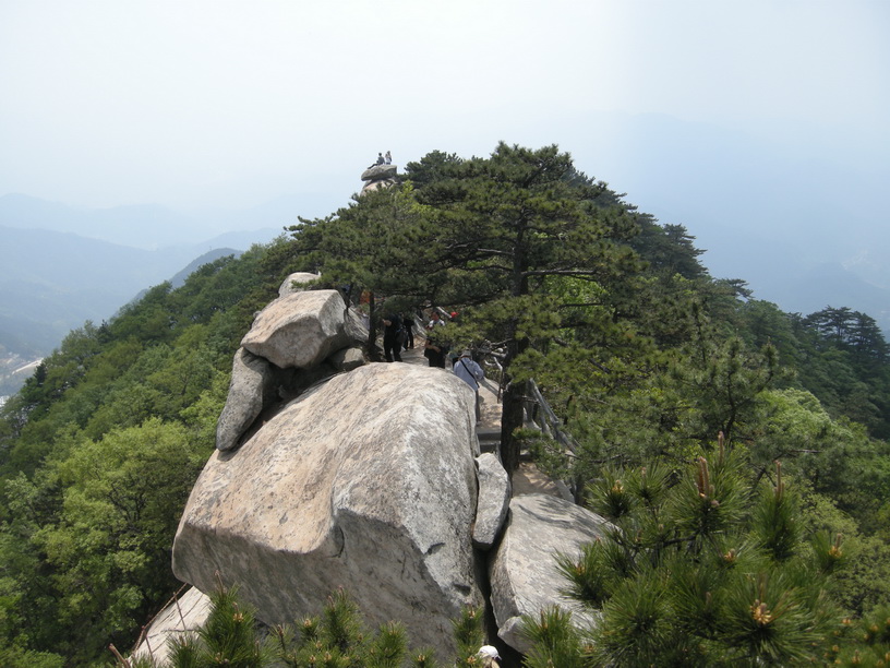 dscn8544.jpg