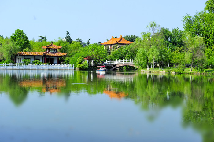 _dsc9110.jpg