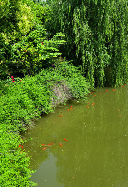 _dsc8985.jpg