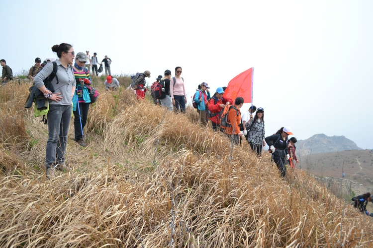 dsc_0314.jpg